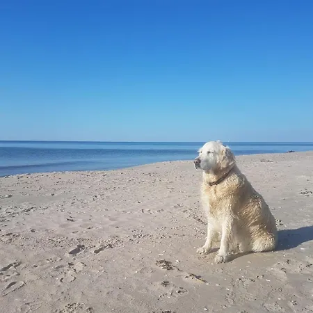Morskie Katy - W Otoczeniu Przyrody Zalewu Wislanego, Spacerem Do Morza, Dog-friendly Kąty Rybackie