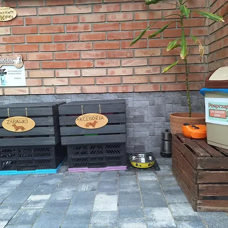 Morskie Katy - W Otoczeniu Przyrody Zalewu Wislanego, Spacerem Do Morza, Dog-friendly