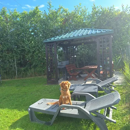 Morskie Katy - W Otoczeniu Przyrody Zalewu Wislanego, Spacerem Do Morza, Dog-friendly * Kąty Rybackie