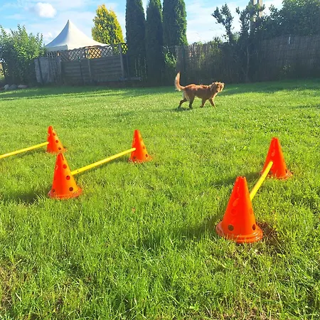 Morskie Katy - W Otoczeniu Przyrody Zalewu Wislanego, Spacerem Do Morza, Dog-friendly