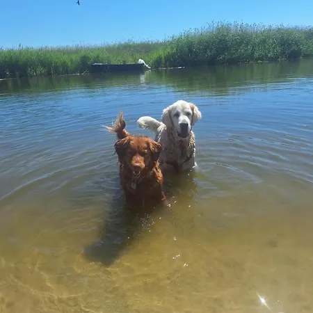 Morskie Katy - W Otoczeniu Przyrody Zalewu Wislanego, Spacerem Do Morza, Dog-friendly Δωμάτια σε οικογενειακή κατοικία Kąty Rybackie
